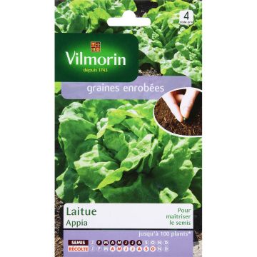 Butterhead Lettuce Appia (coated seeds) - Lactuca sativa