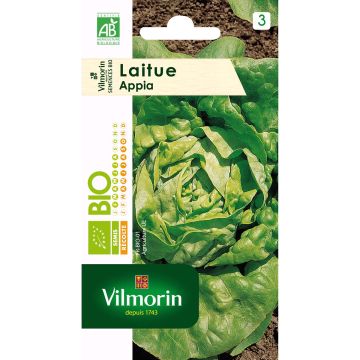 Organic Butterhead Lettuce Appia - Vilmorin seeds - Lactuca sativa
