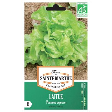 Butterhead Lettuce Express - Ferme de Sainthe Marthe