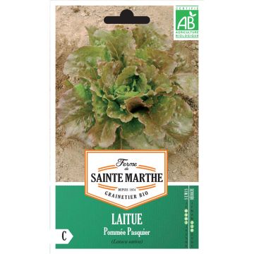 Batavian Lettuce Pasquier - Ferme de Sainte Marthe seeds