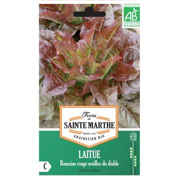 Romaine Lettuce Devils Ear - Ferme de Sainte Marthe seeds