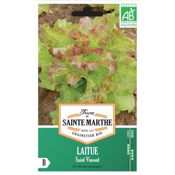 Loose leaf Lettuce Saint Vincent - Ferme de Sainte Marthe seeds