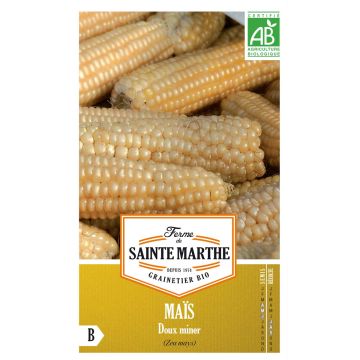Sweet Corn Miner - Ferme de Sainte Marthe Seeds