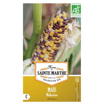 Organic Multicoloured Maize - Ferme de Sainte Marthe seeds seeds