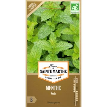 Organic Mentha spicata 
