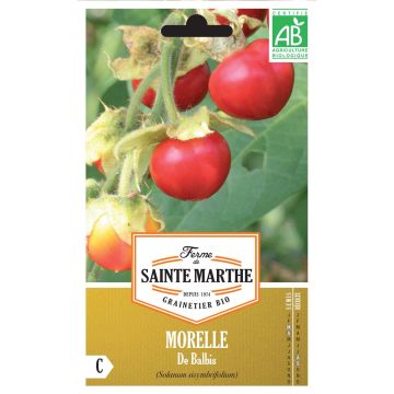 Organic Balbis Nightshade - Ferme de Sainte Marthe seeds