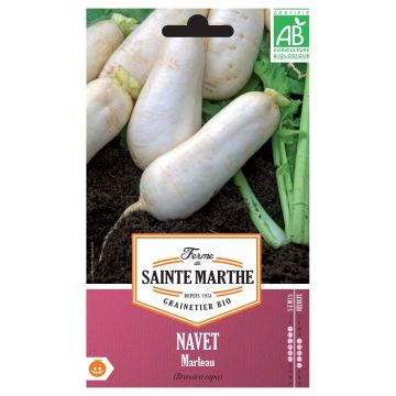 Organic Turnip Marteau - Ferme de Sainte Marthe seeds