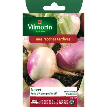Turnip D'Auvergne Tardif - Vilmorin seeds - Brassica rapa