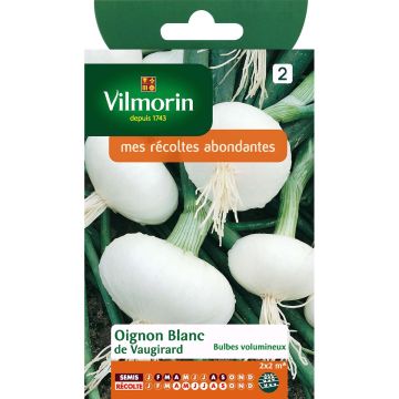 Vaugirard Very Early White Onion - Vilmorin