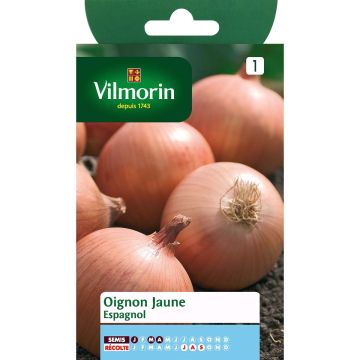 Spanish Yellow Onion - Vilmorin seeds