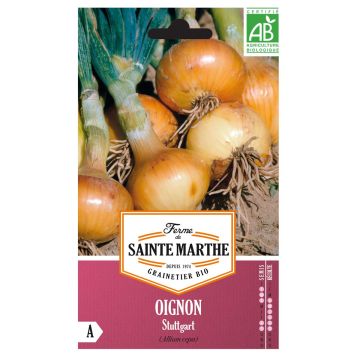 Onion Stuttgarter Rieser - Ferme de Sainte Marthe Seeds