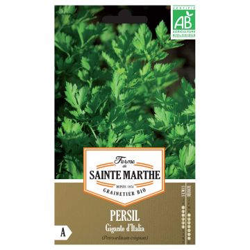 Parsley Giant of Italy - Ferme de Sainte Marthe Seeds
