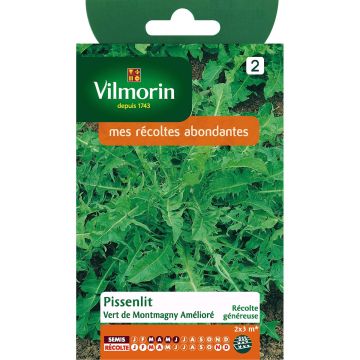 Vert de Montmagny Dandelion - Vilmorin seeds