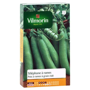 Pea Telephone with wrinkled grains - Vilmorin seeds