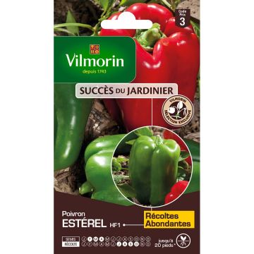Pepper Estérel F1 - Vilmorin seeds - Capsicum annuum