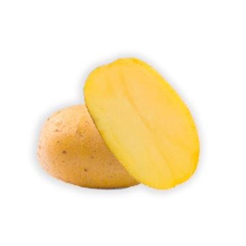 Potatoes Goldmarie