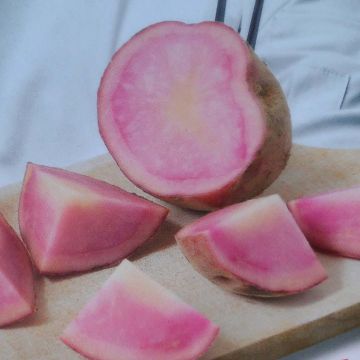 Potatoes Pink Love Perupas