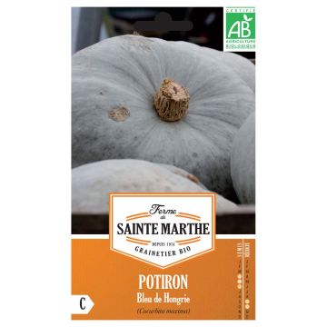 Pumpkin Hungarian Blue - Ferme de Sainte Marthe Seeds