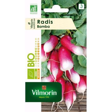 Bamba Bio Radish - Vilmorin seeds
