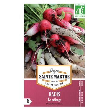 Radish Mix - Ferme de Sainte Marthe seeds