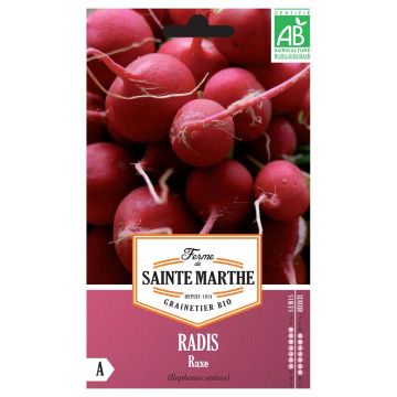 Radish Raxe - Ferme de Sainte Marthe Seeds