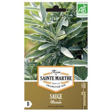 Salvia officinalis, Organic Garden Sage - Ferme de Sainte Marthe seeds