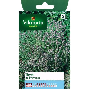 Thymus vulgaris - Vilmorin seeds