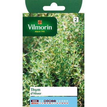 Thymus	vulgaris Winter Thyme - Vilmorin seeds