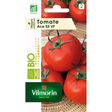 Tomato Ace 55 VF Bio  - Vilmorin seeds