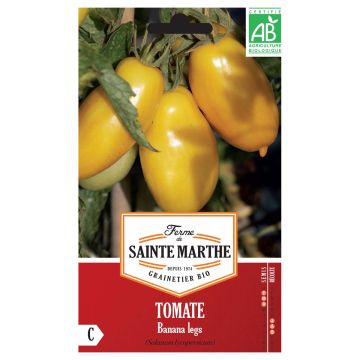 Tomato Banana Legs - Ferme de Sainte Marthe seeds