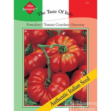 Tomato Costoluto Genovese