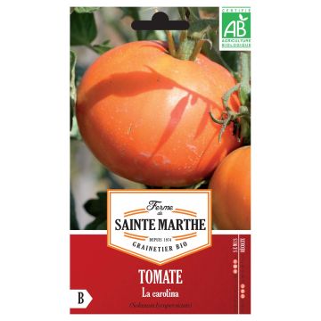 La Carotina Organic Tomato - Ferme de Sainte Marthe seeds
