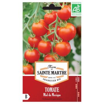 Mexican Honey Organic Tomato - Ferme de Sainte Marthe seeds