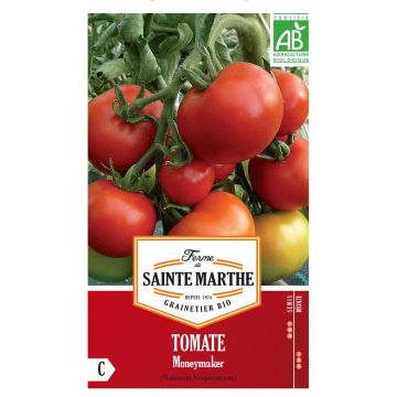 Moneymaker Organic Tomato - Ferme de Sainte Marthe seeds