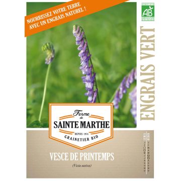 Organic Spring Vetch - Green Manure - Ferme de Sainte Marthe seeds