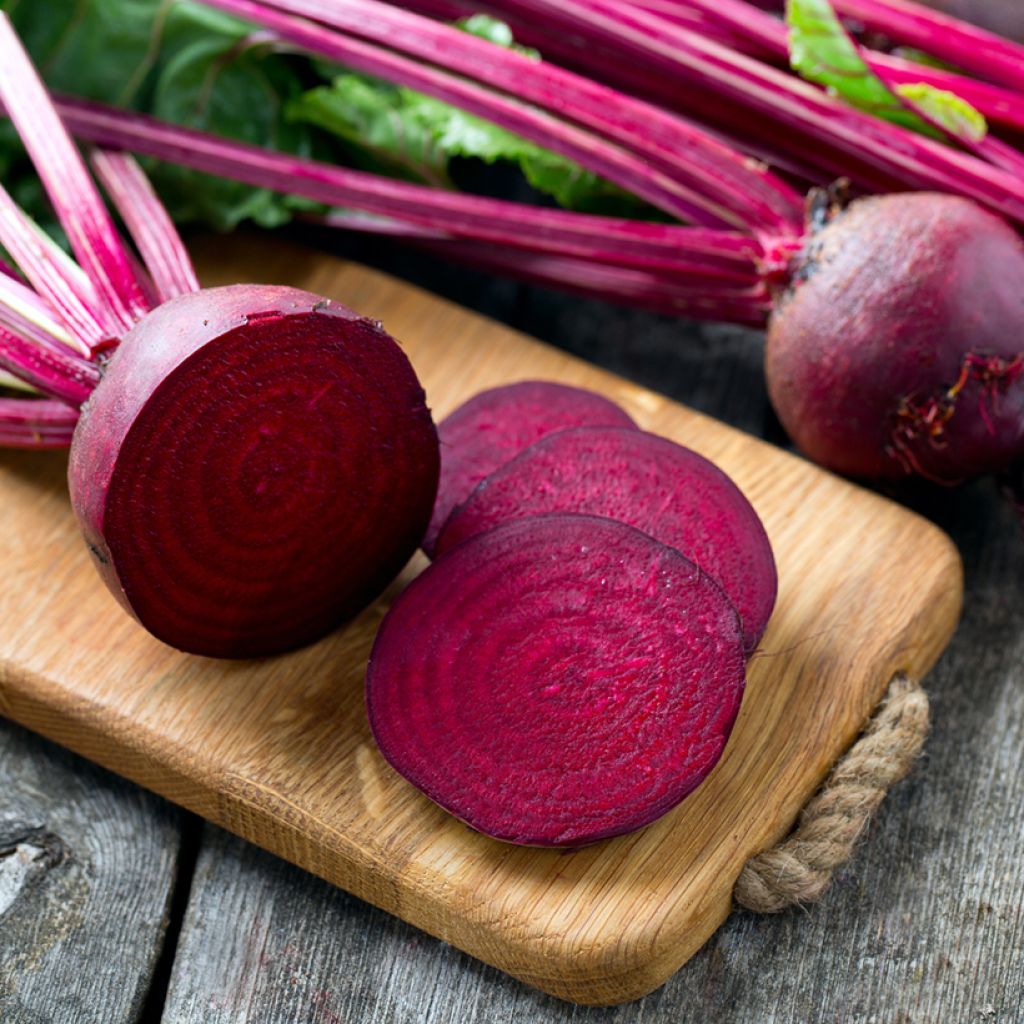 Beetroot Solist