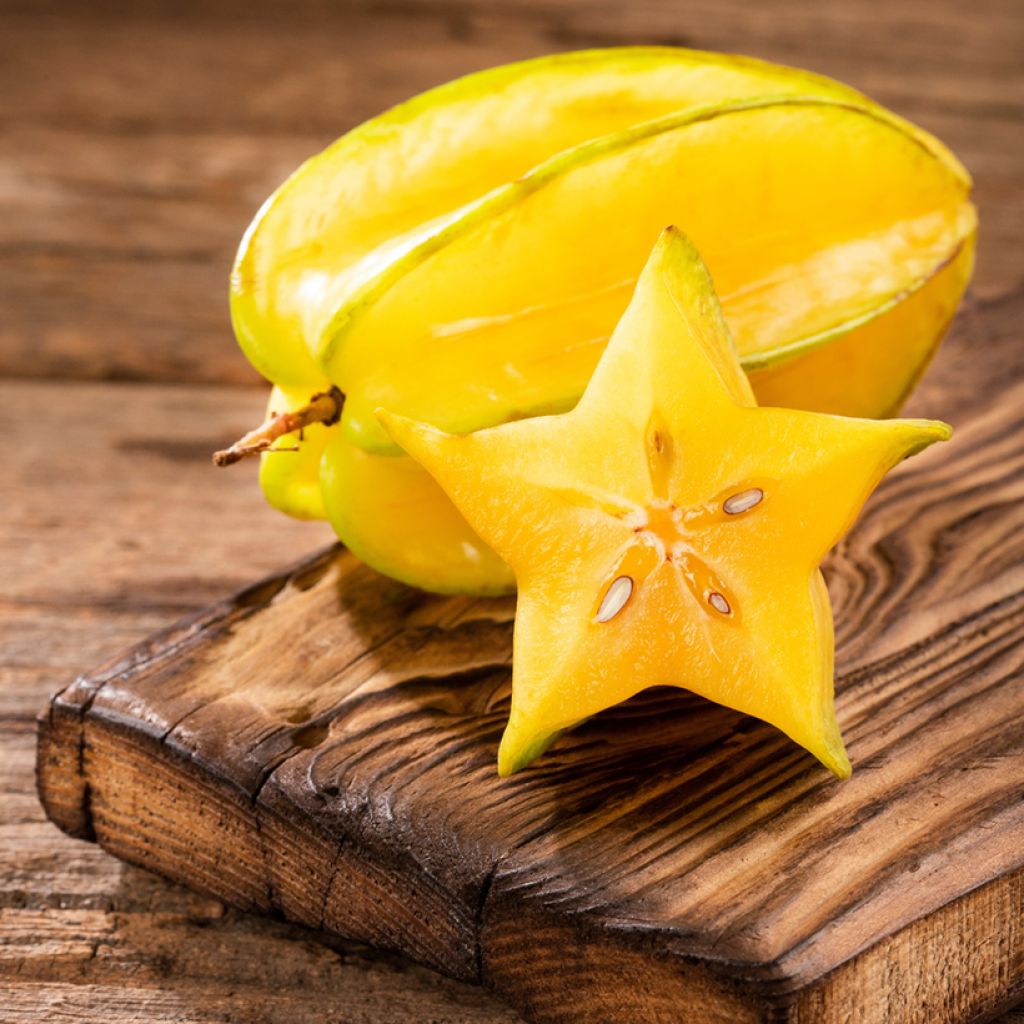 Averrhoa carambola Arkin - Star fruit tree
