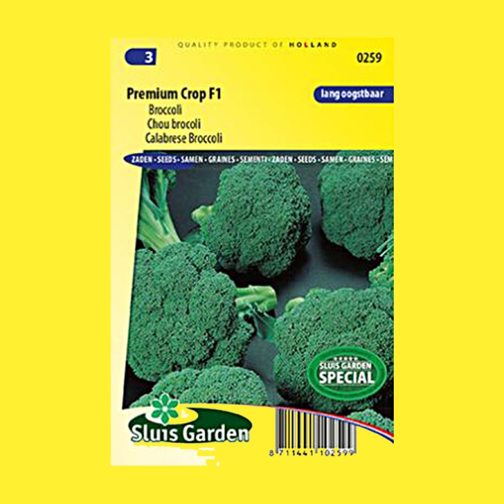 Broccoli Premium Crop F1 - Brassica oleracea italica