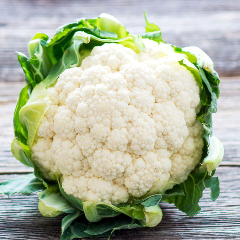 Cauliflower Walcheren Winter 5