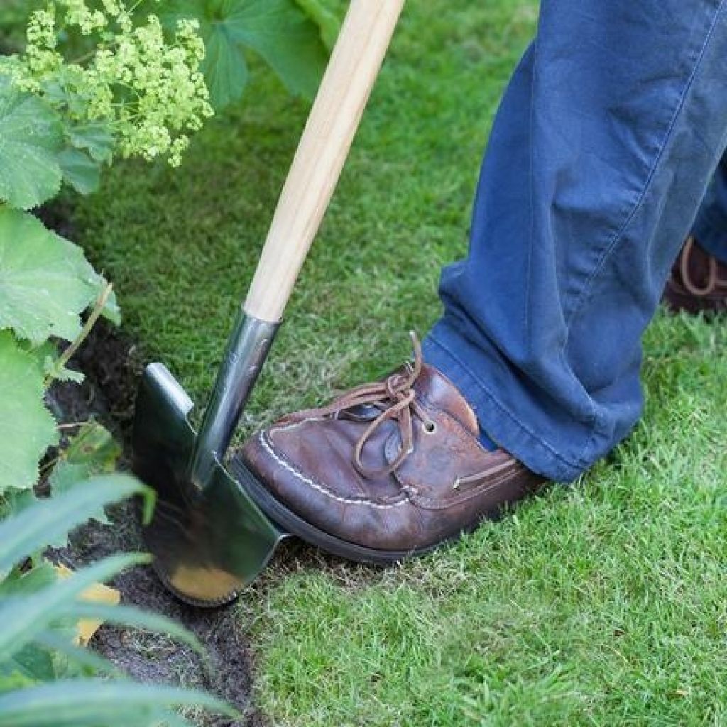 Burgon & Ball Half-moon Edging Trimmer - RHS Range