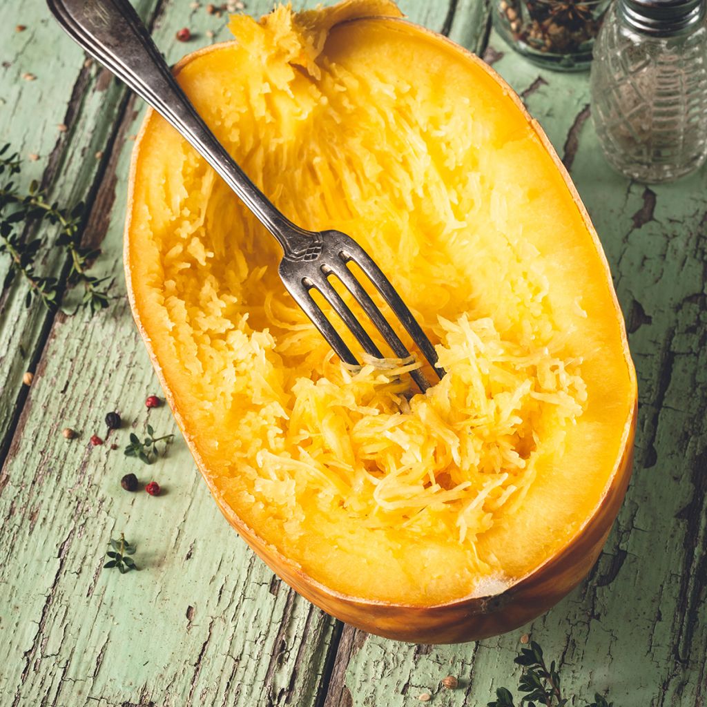 Squash Vegetable Spaghetti - Ferme de Sainte Marthe Seeds