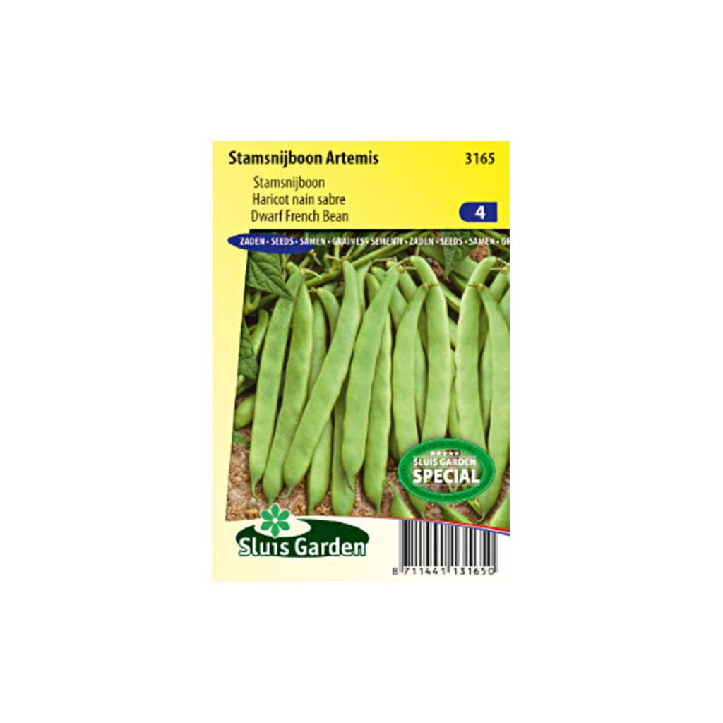 Common bean Artemis
