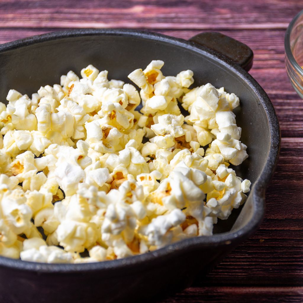 Corn Tom Thumb Popcorn - Ferme de Sainte Marthe Seeds