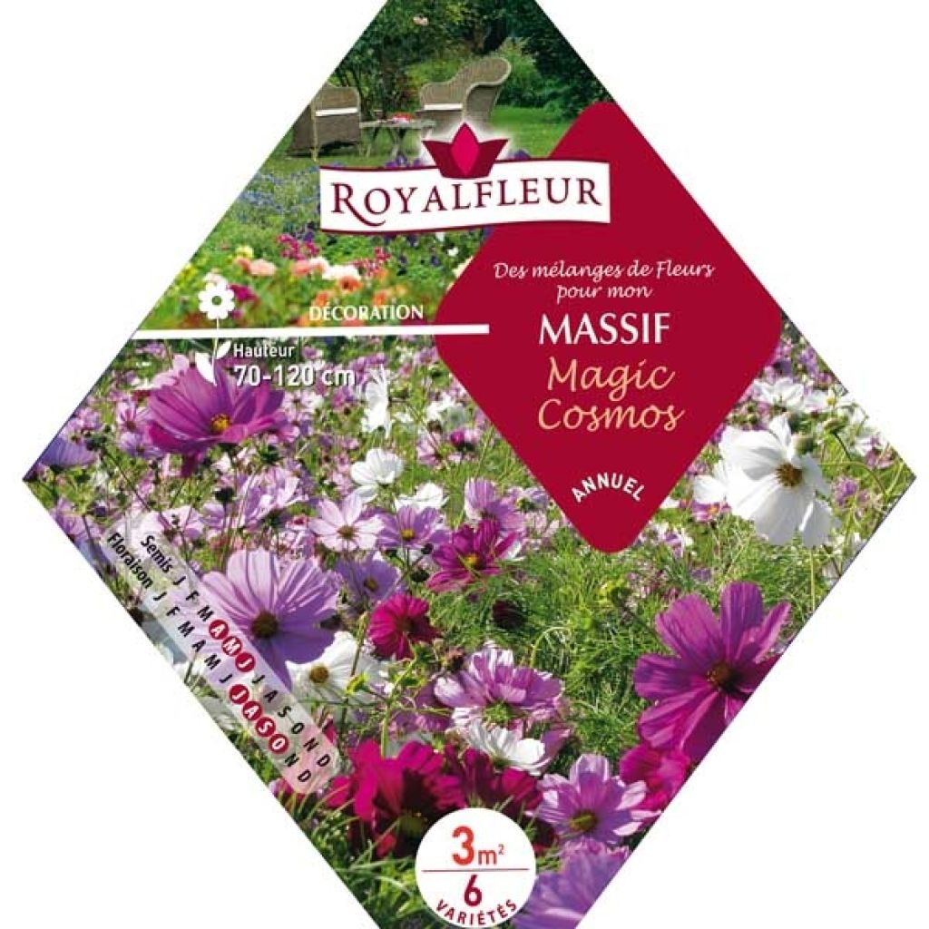 Mélange pour massif Magic Cosmos - Sachet 3m2