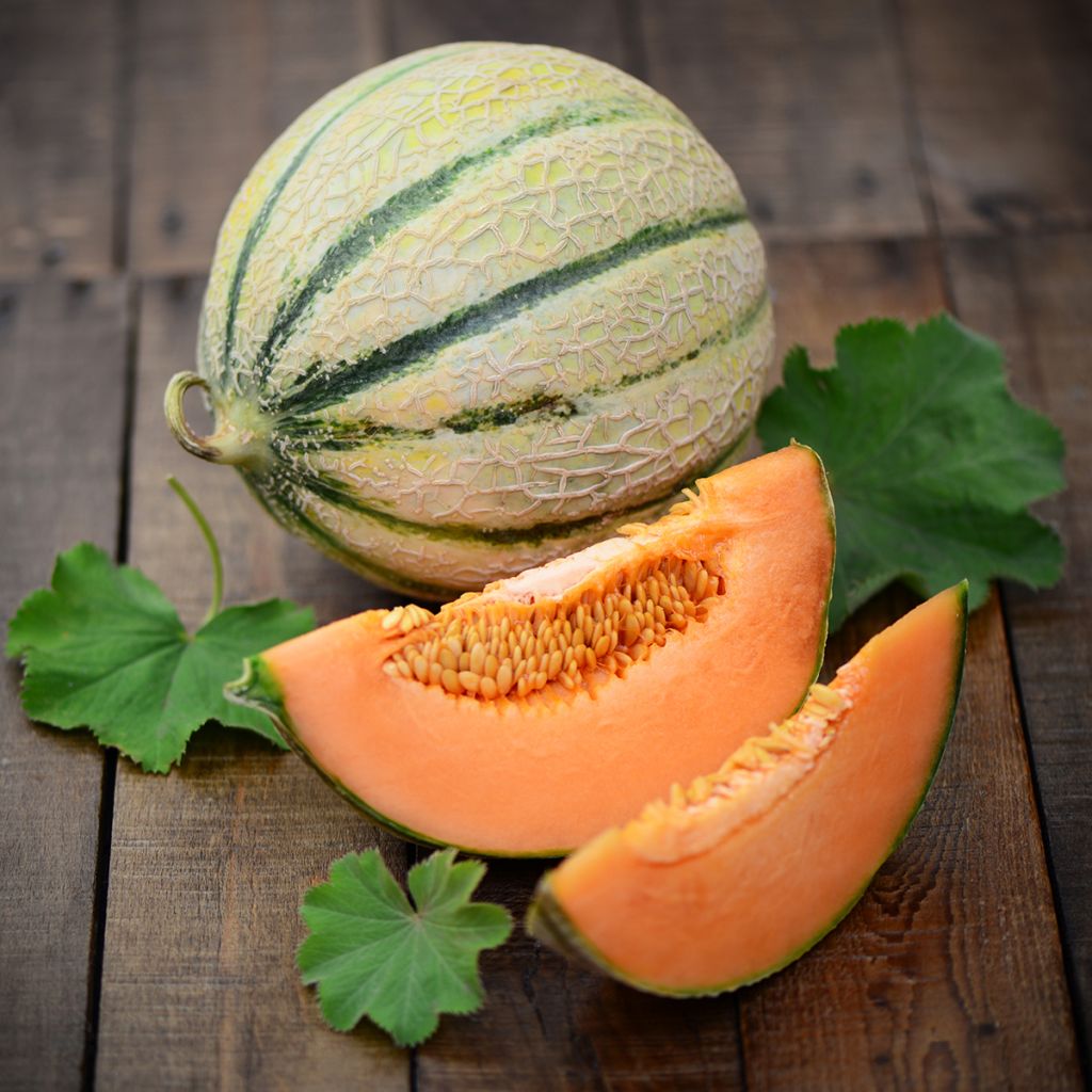 Organic Melon Charentais