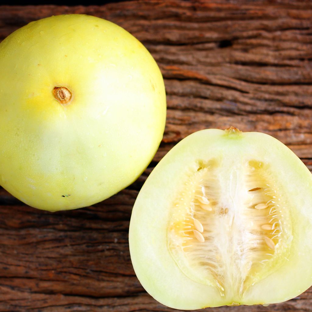 Honeydew Melon - Ferme de Sainte Marthe Seeds