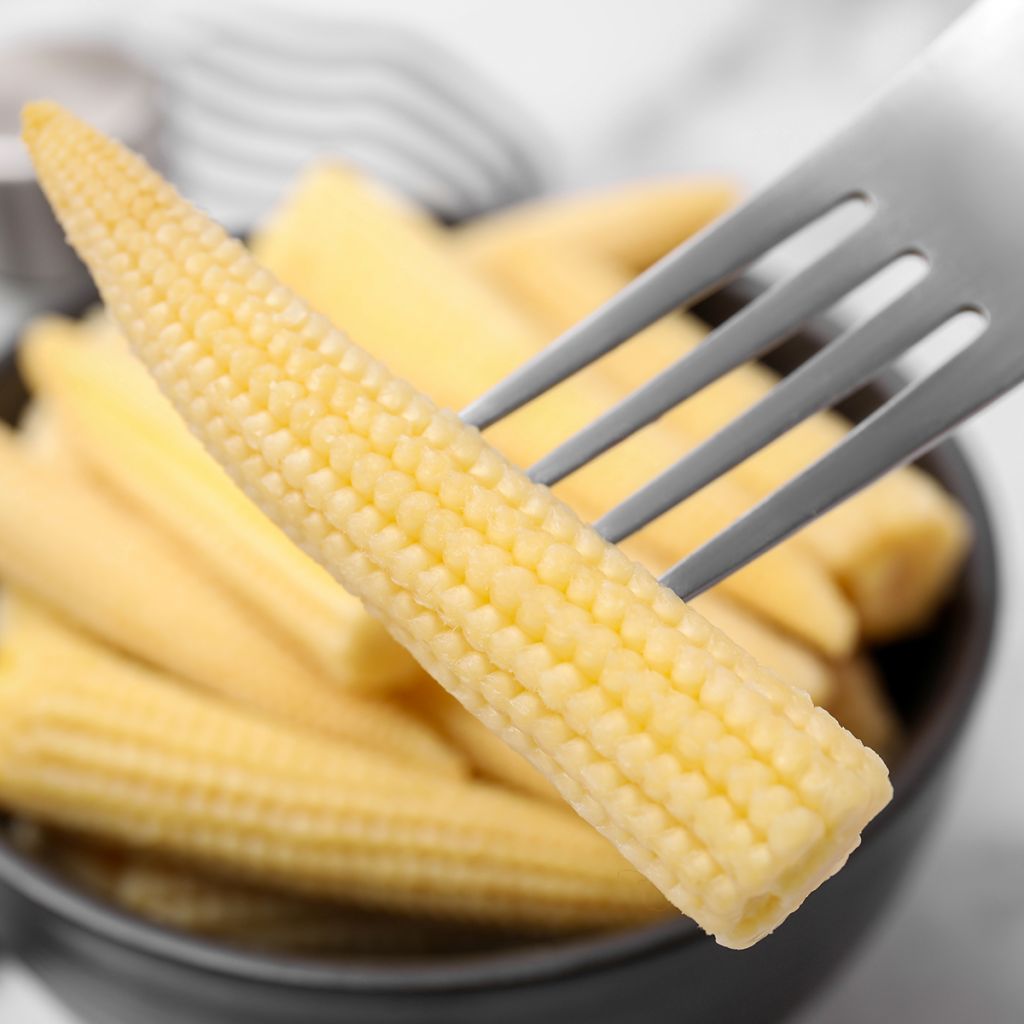 Mini sweetcorn Snobaby - Zea mays