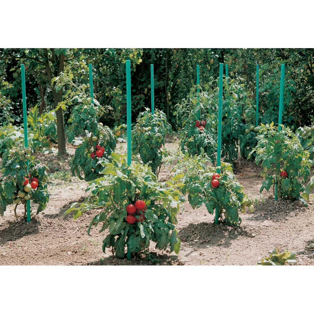 Water reservoir PVC tomato stakes AQUATOM