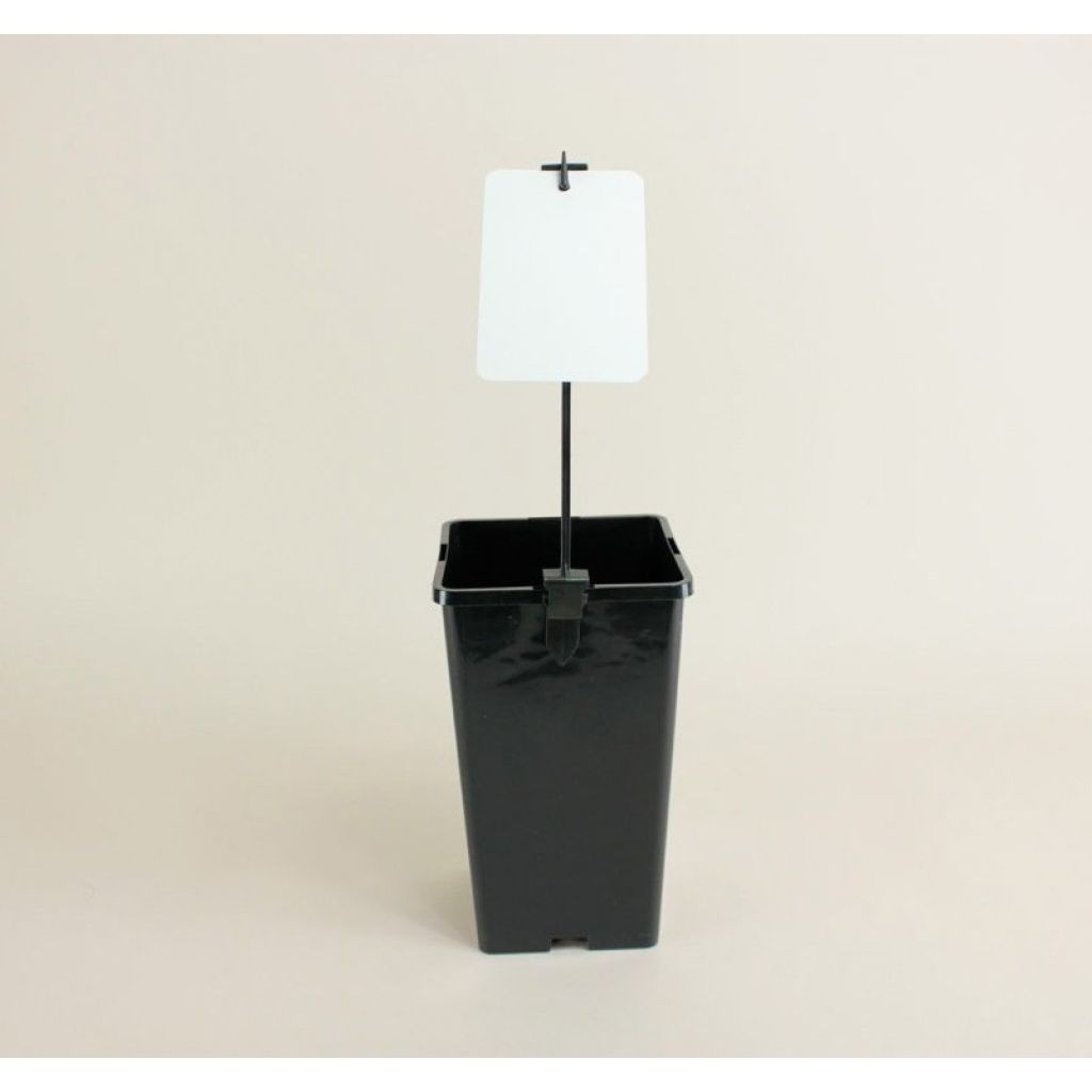 Label holder stake 13cm (5in) - Sold in packs of 20