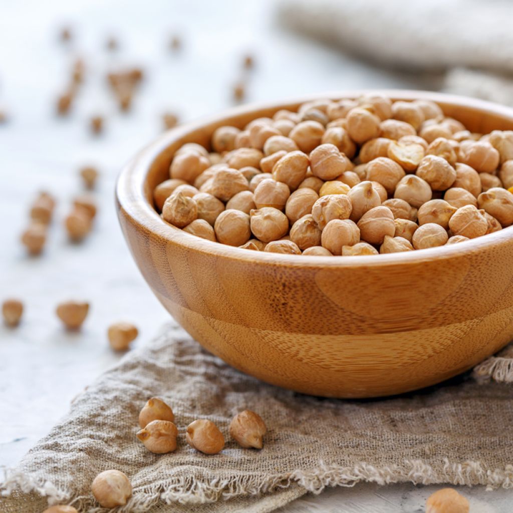 Chickpea organic seeds